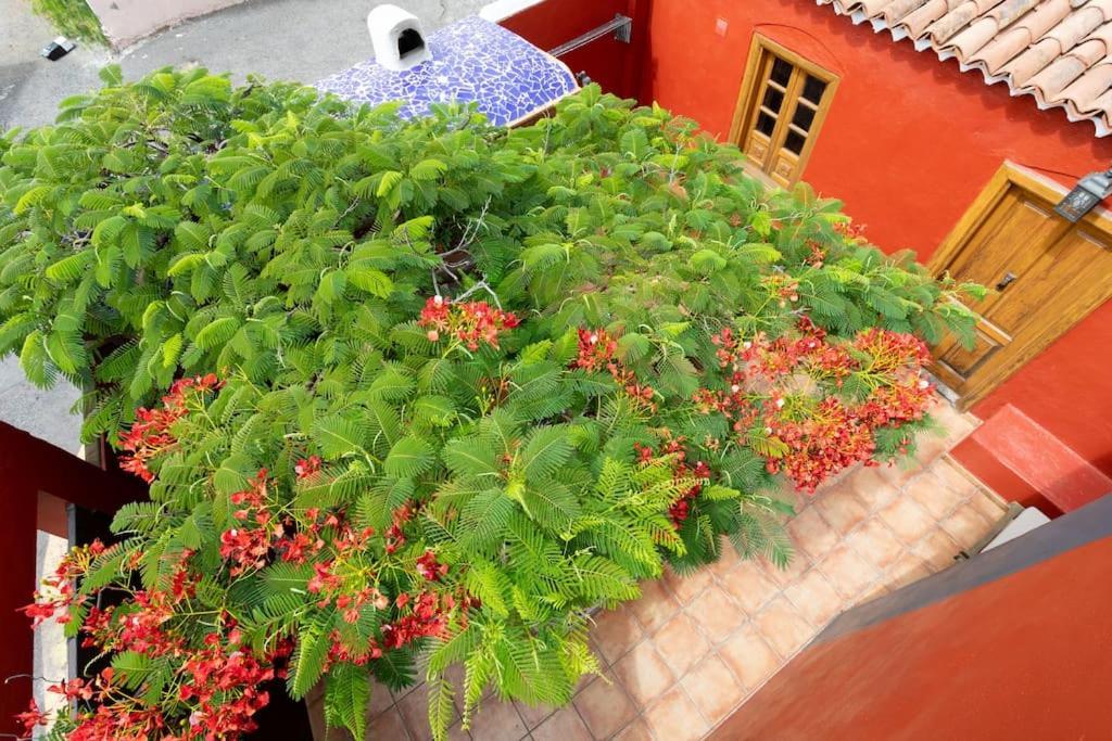 Rural House With Traditional Architecture S. XIX Σάντα Κρουζ Τενερίφης Εξωτερικό φωτογραφία